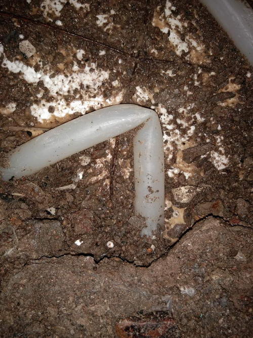 广饶堵点精准查找